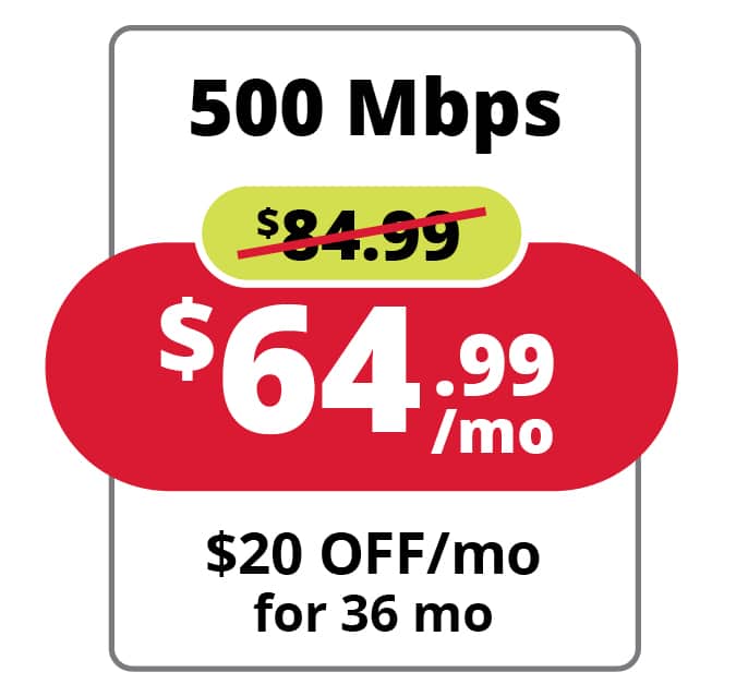 Fiber Internet 500 Mbps